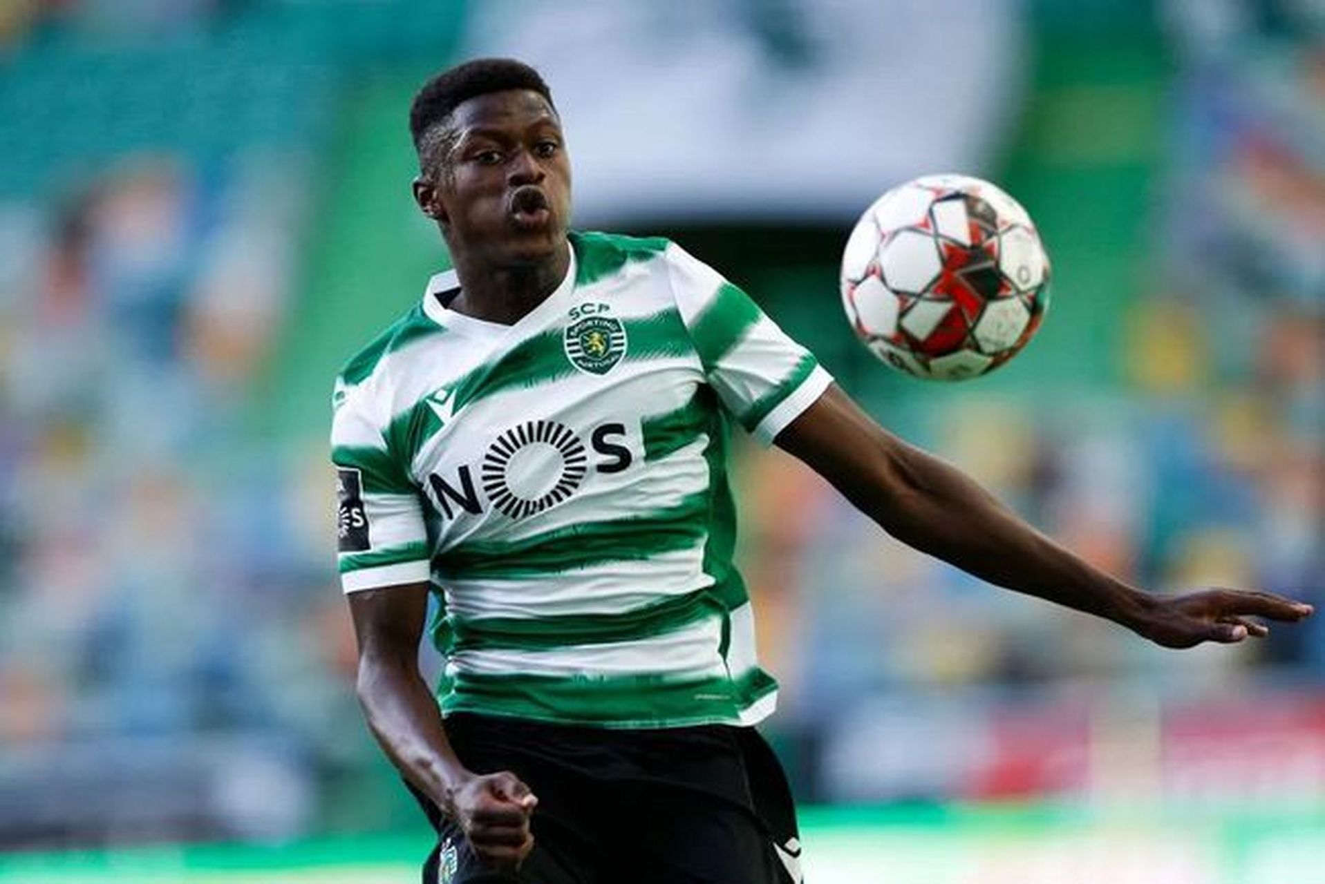 葡萄牙超级篮球联赛：里斯本篮球俱乐部迎来五连胜的简单介绍