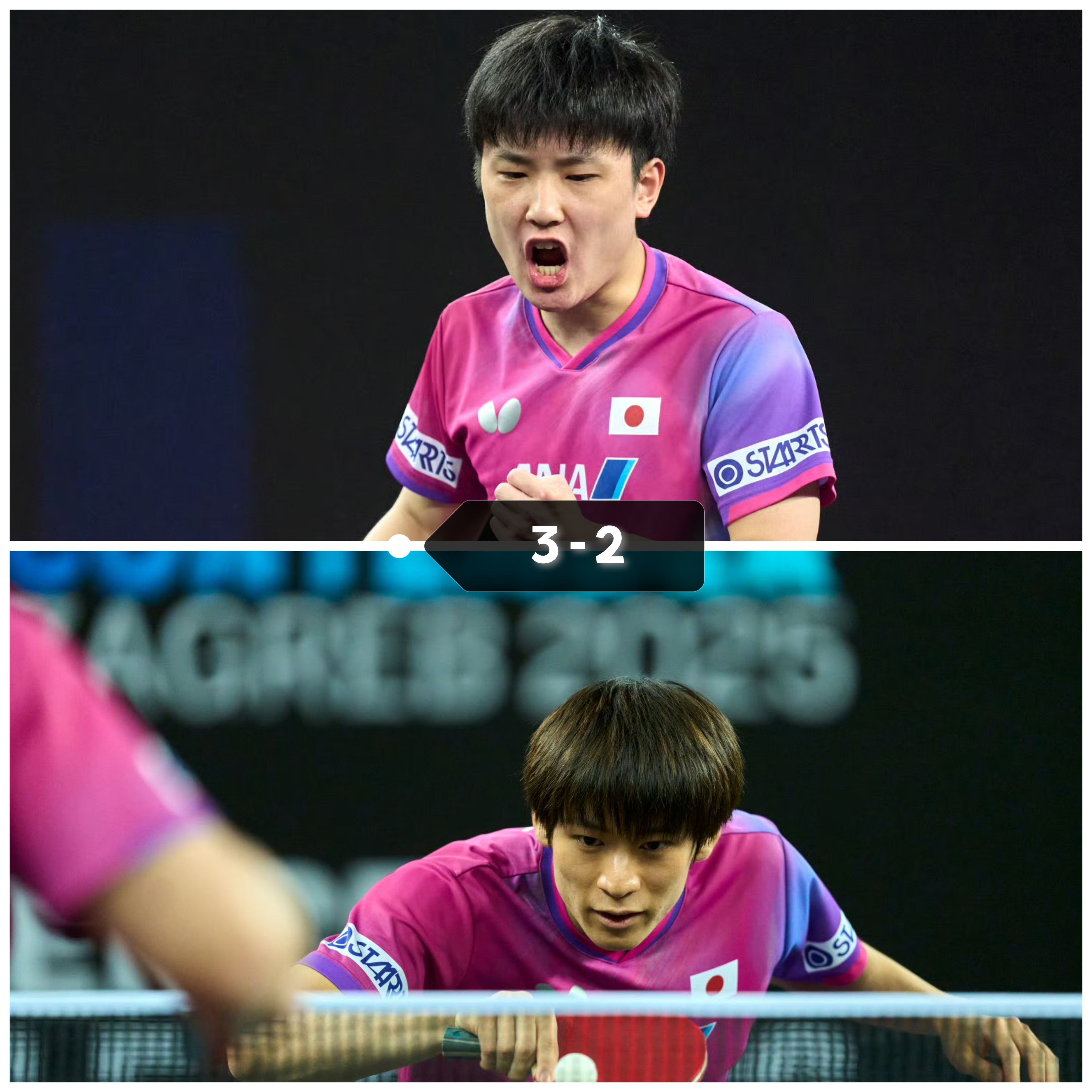 包含瑞典队碾压英格兰队，张本智和统治全场的词条