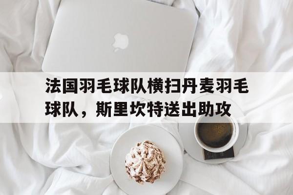 法国羽毛球队横扫丹麦羽毛球队，斯里坎特送出助攻的简单介绍